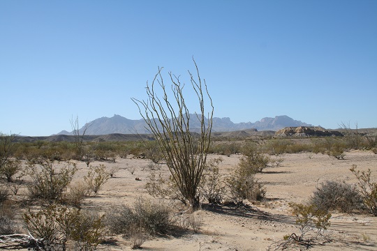 Tour 26 - Expedición por el Desierto de Chihuahua